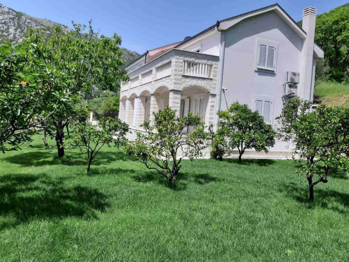 Queen Teuta Hotel Risan Luaran gambar